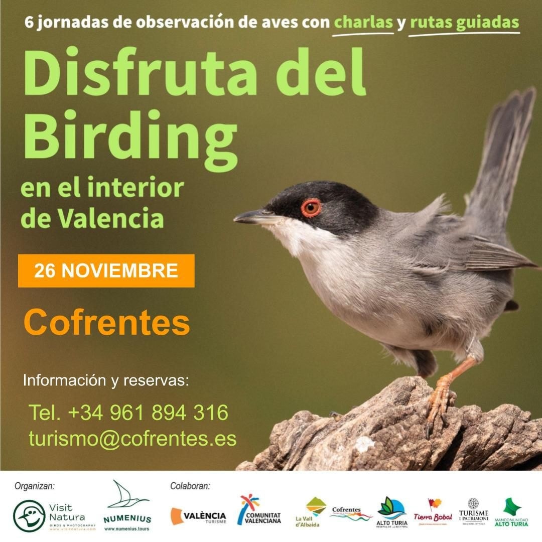 Jornada formativa de Birding en Cofrentes