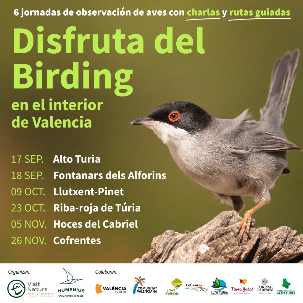 Jornada de formación de Birding en Cofrentes
